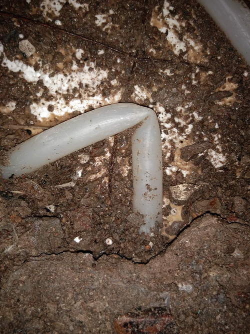 乐亭堵点精准查找